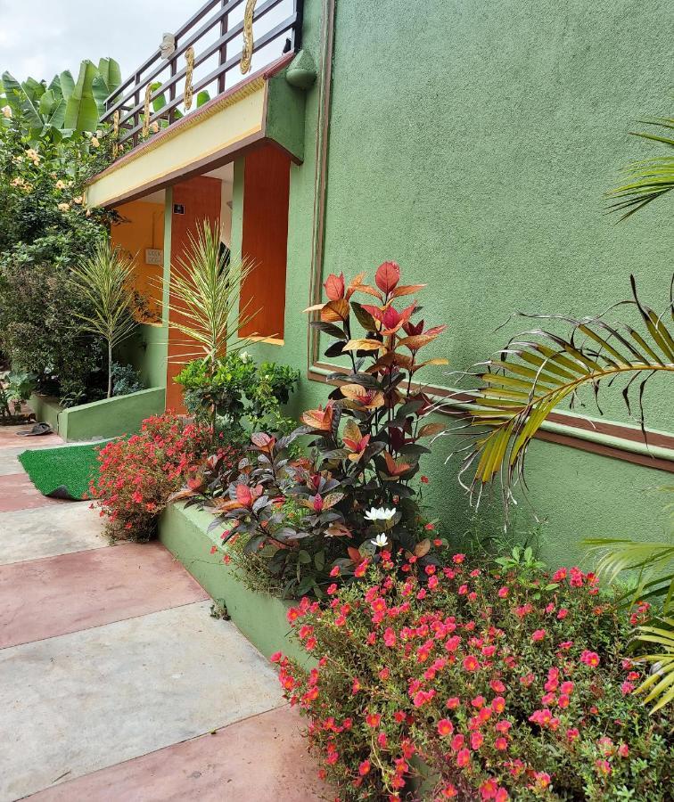 Banana Farm House ฮัมปี ภายนอก รูปภาพ