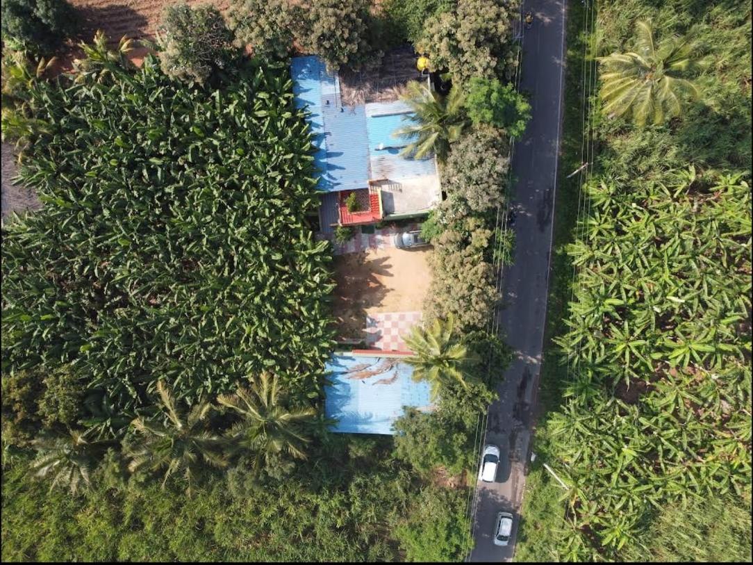 Banana Farm House ฮัมปี ภายนอก รูปภาพ