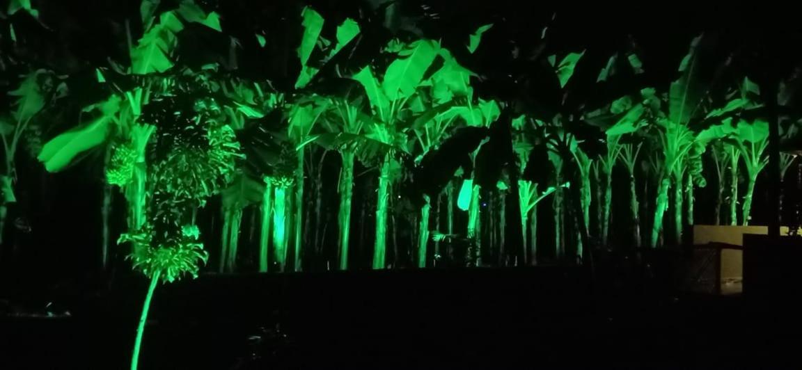 Banana Farm House ฮัมปี ภายนอก รูปภาพ